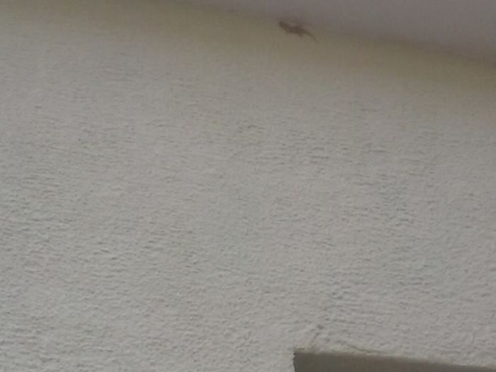 Archisio - Esseb Edilizia - Progetto Ristrutturazione