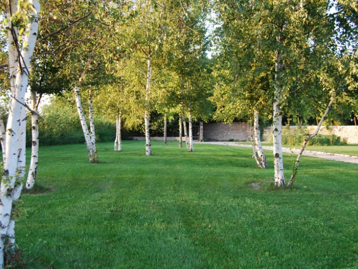 Archisio - Lugo Architettura Del Paesaggio - Progetto Hotel-ristoranti-residenza dosso poli