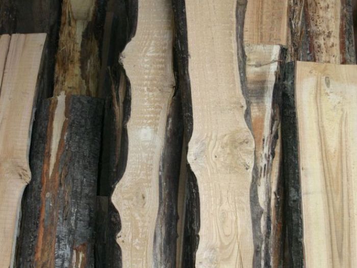 Archisio - Falegnameria Ferruzzi - Progetto Segheria