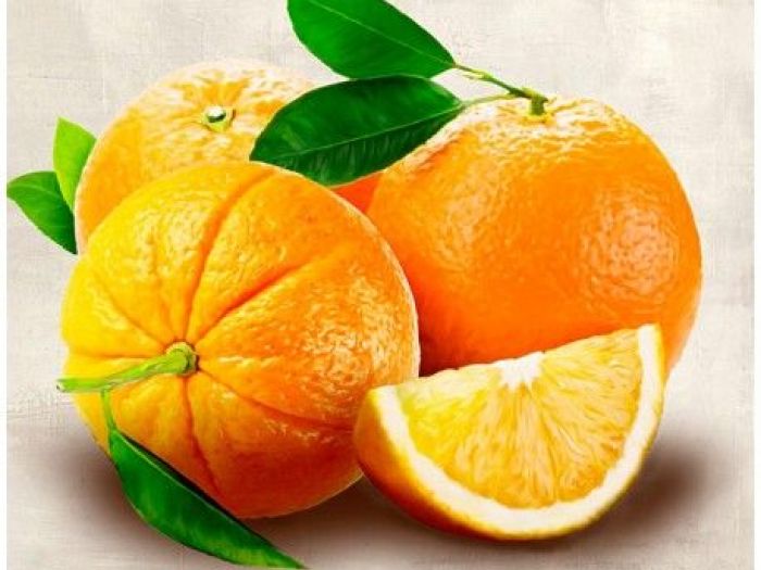 Archisio - Stampeequadri - Progetto STAMPEEQUADRI