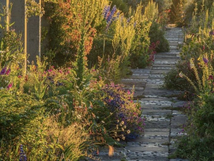 Archisio - Claudia Dibbe Piazza - Progetto Allinsegna di piet oudolf