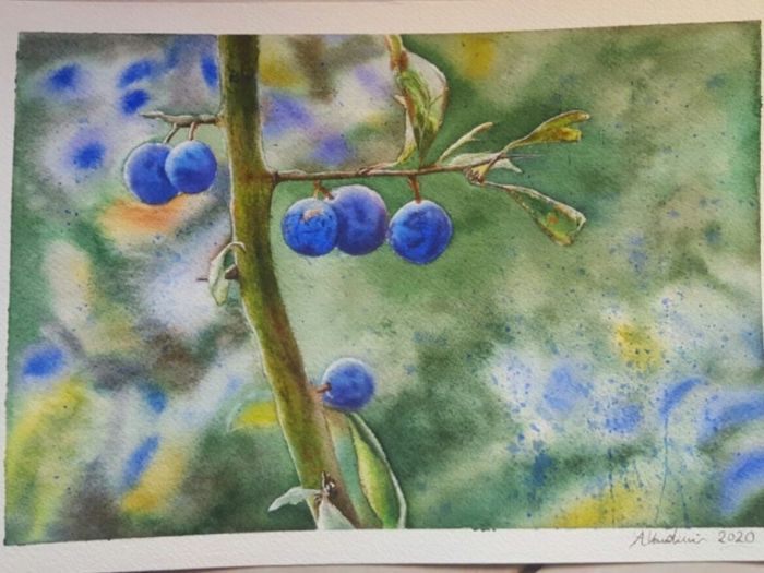 Archisio - Alessio Vandini - Progetto Portfolio