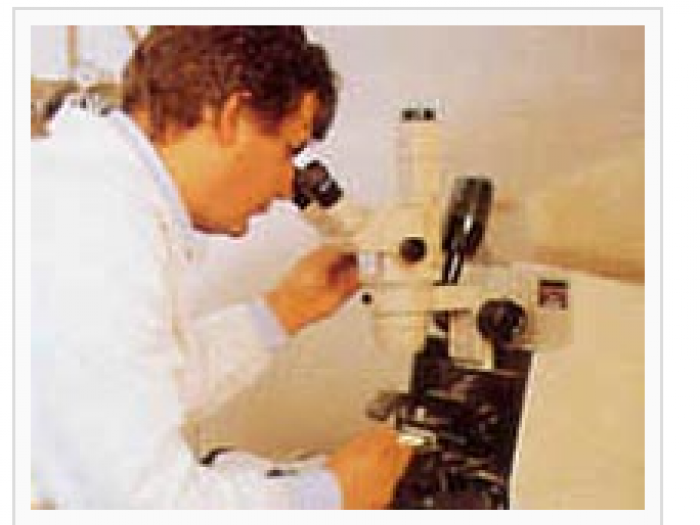 Archisio - Falgnameria Caccia E Carrara - Progetto Vernici