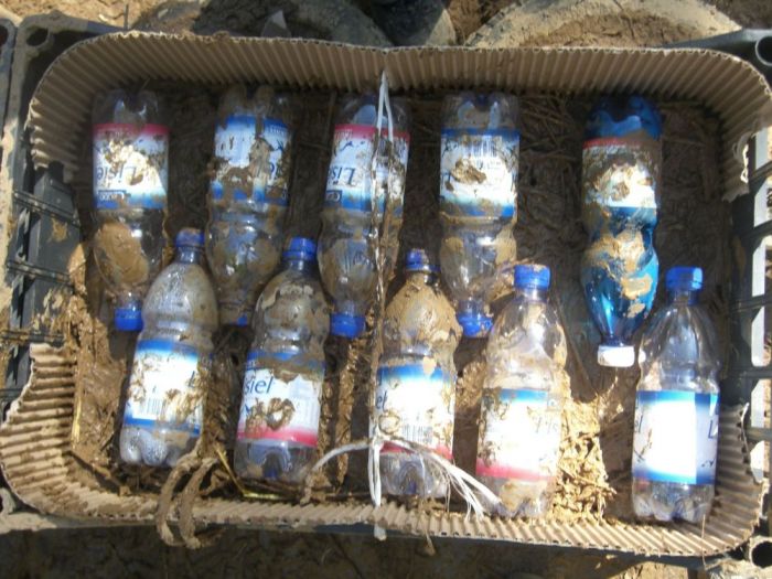 Archisio - Luxurysign - Progetto Charity