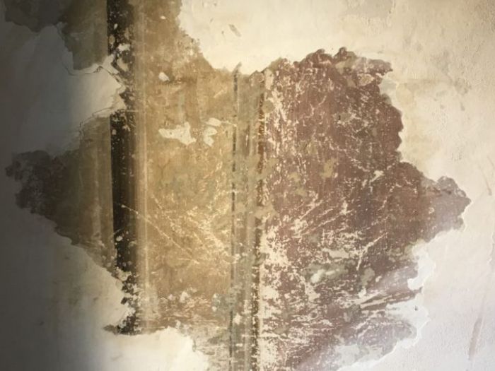 Archisio - Chiara Santi - Progetto Recupero di apparati pittorici