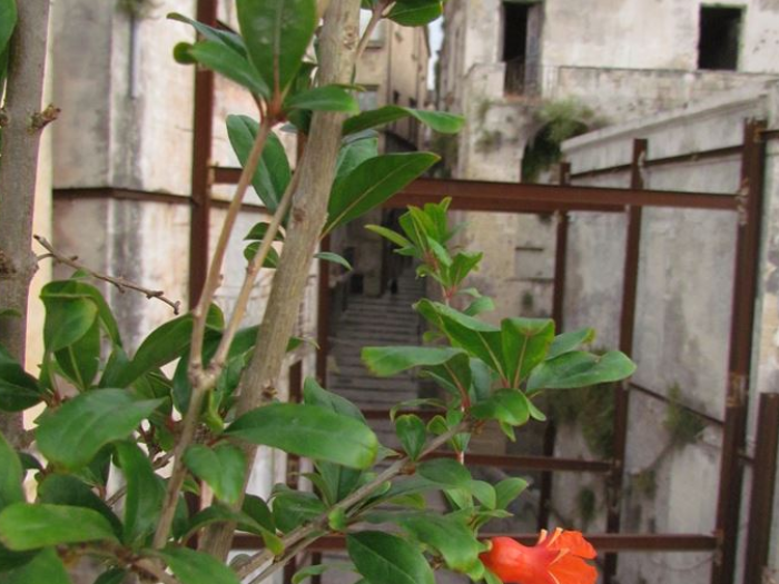 Archisio - Magda Giove - Progetto La nassa