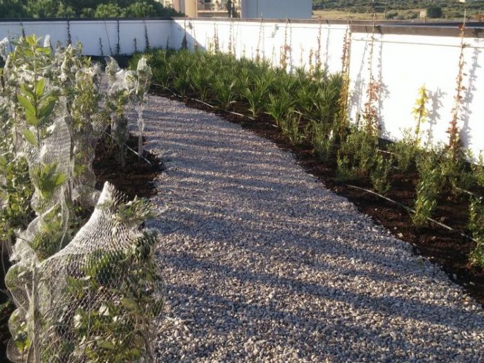 Archisio - Maria Giammarresi - Progetto Giardino pensile - arriva con la legge di bilancio 2018 il bonus verde per giardini terrazzi balconi giardini pensili e coperture anche condominiali - il nostro studio fornisce la consulenza necessaria ai fini dellottenimento del bonus