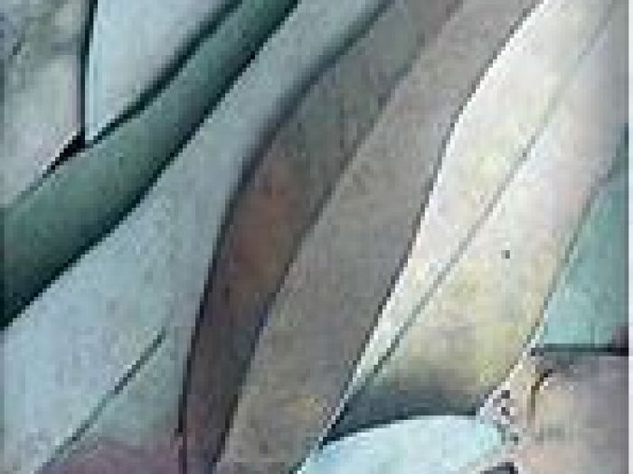 Archisio - Dn Associati Interior Design Studio - Progetto Progetto