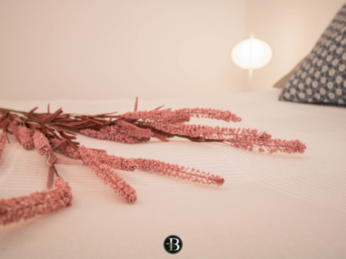 Archisio - Roberta Bossolasco - Progetto Elisabetta