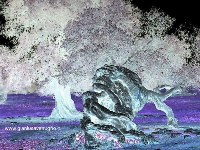 Archisio - Gianluca Vetrugno Meltem Kosan the Art Of The Negative - Artisti - Progetto Galleria 1 fotografie astratte