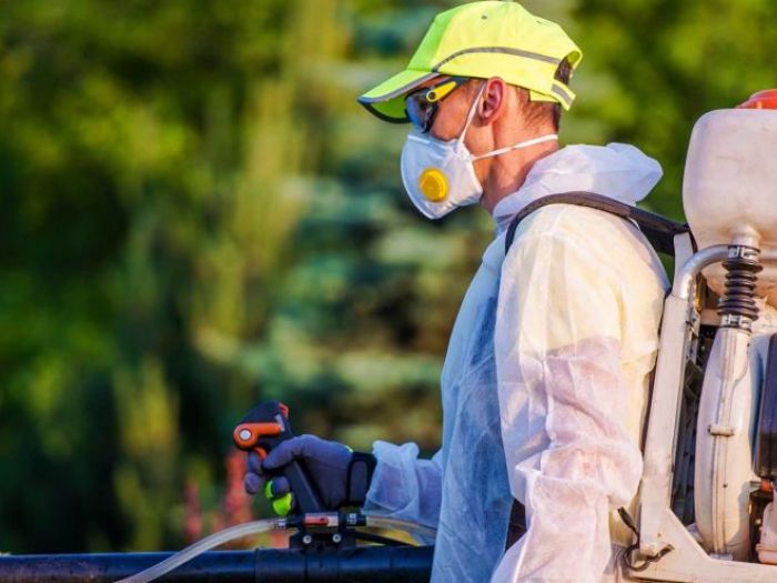 Archisio - Giesse Disinfestazioni - Progetto Derattizzazioni