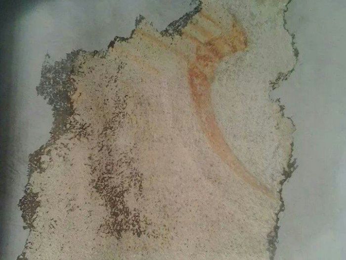 Archisio - Luni Progres - Progetto Villa capitani - sarzanello