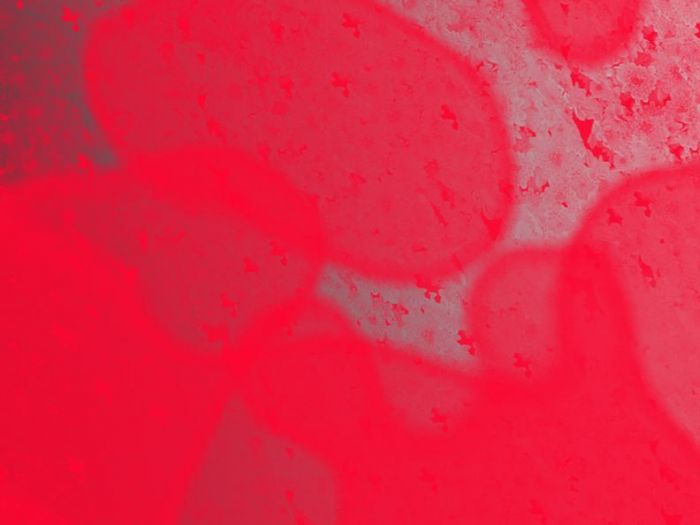 Archisio - Antonio Pagliara - Progetto Grafica