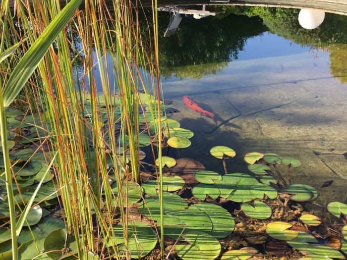 Archisio - Progettare Spazi Verdi - Progetto Il museo verde