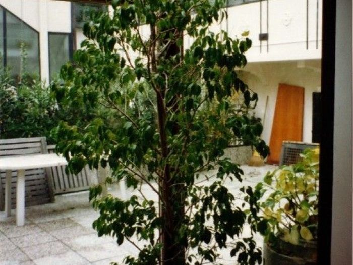 Archisio - Cofra Architettura Design Innovazione - Progetto Restauro