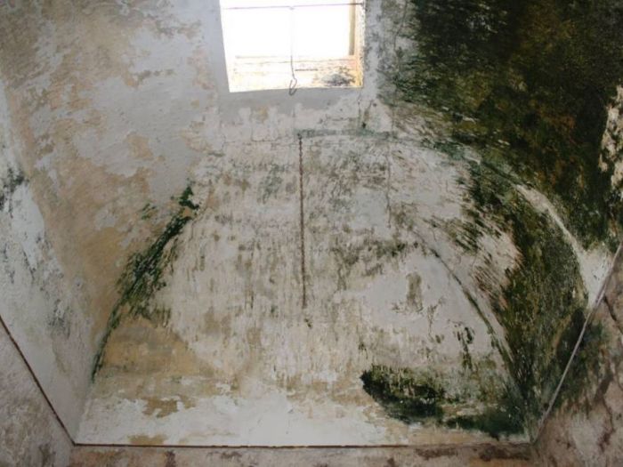 Archisio - Pedone Working - Progetto Palazzo storico