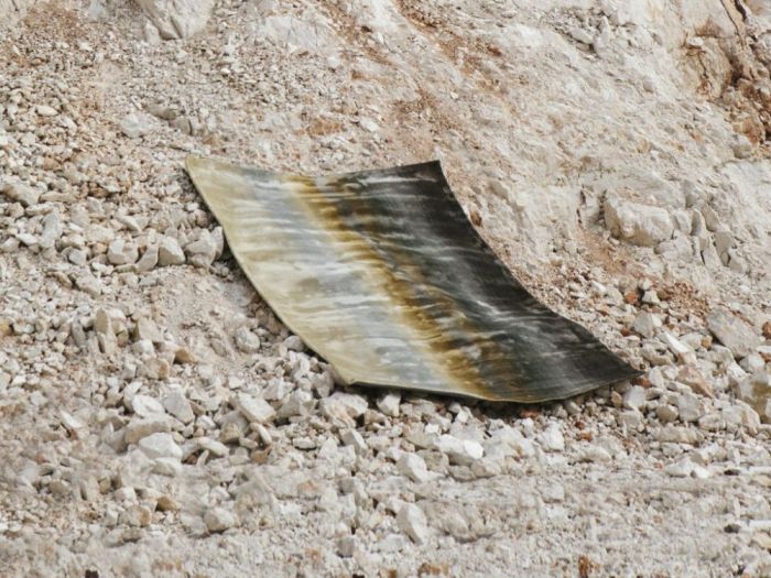 Archisio - Karpeta - Progetto Trame oasis 12