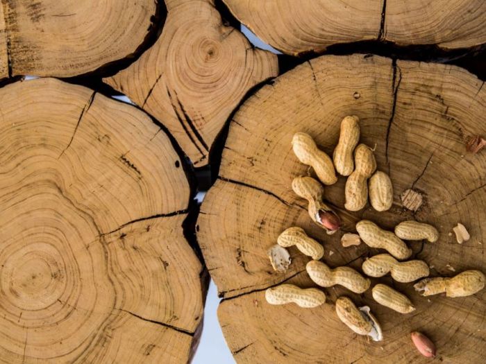 Archisio - Silvia Orlandi - Progetto Jedes bier - birreria