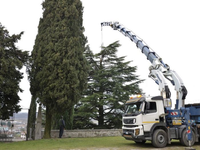 Archisio - Il Dottore Del Verde Di Bruno Barnaba - Progetto Abbattimento cedro monumento sisma 1976