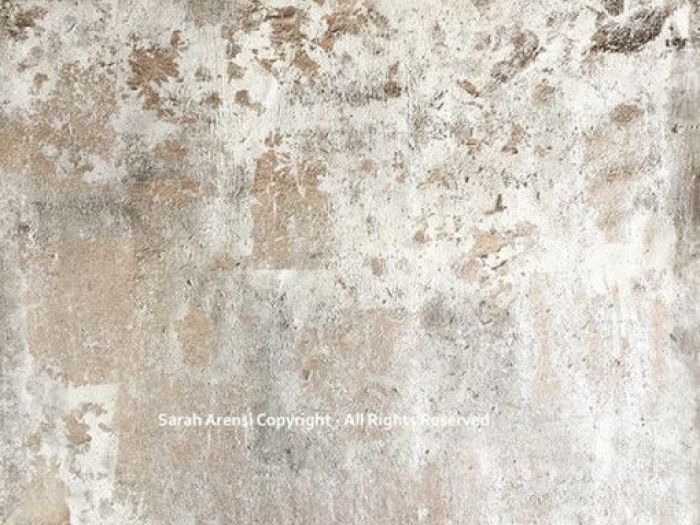 Archisio - Sarah Aresi - Progetto 2017