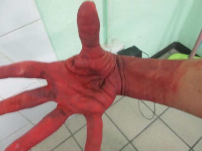 Archisio - Luxurysign - Progetto Laboratorio sul colore