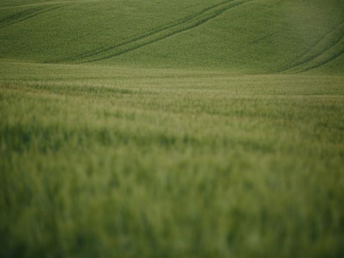 Archisio - Beatrice Moricci Fotografa - Progetto Fotografo di fidanzamento in val dorcia toscana
