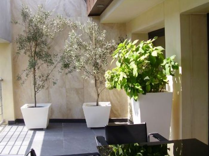 Archisio - Studio Di Architettura Mannelli - Progetto Soc Deris patents trademarks agency istanbul turkey