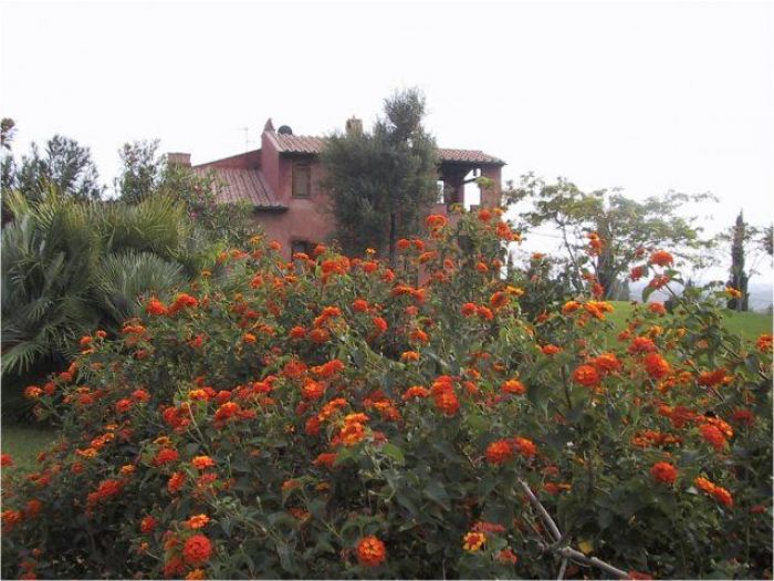 Archisio - Francesca Bertini - Progetto Colle delluliveto