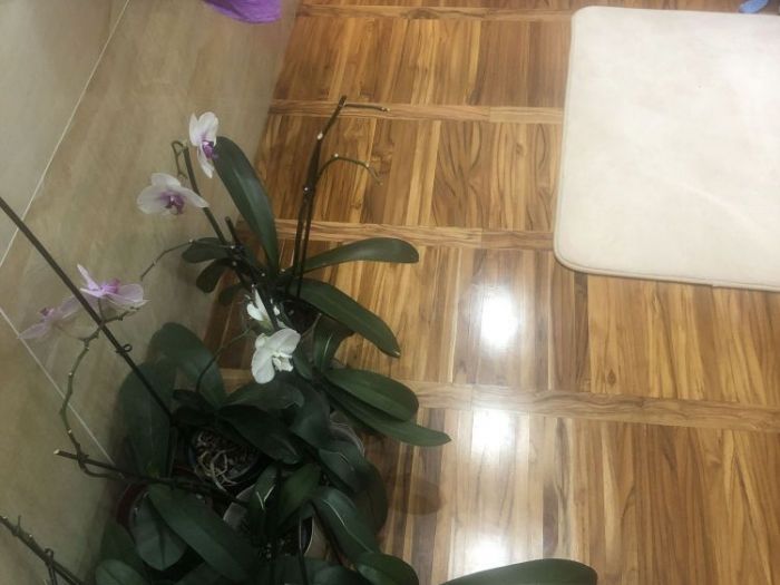 Archisio - Nunu Andrei - Progetto I nostri lavori