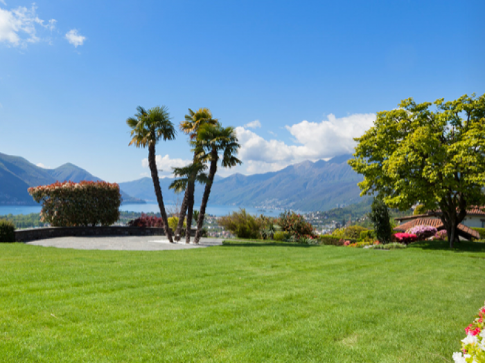 Archisio - Blugarden Di Martinelli Gianluca Traverso Marco Snc - Progetto Parchi giardini e terrazze