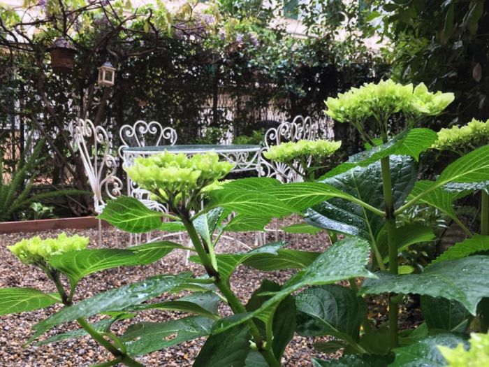 Archisio - Progettare Spazi Verdi - Progetto Unoasi romantica