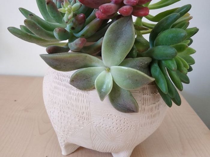 Archisio - Frisart - Progetto Vasi