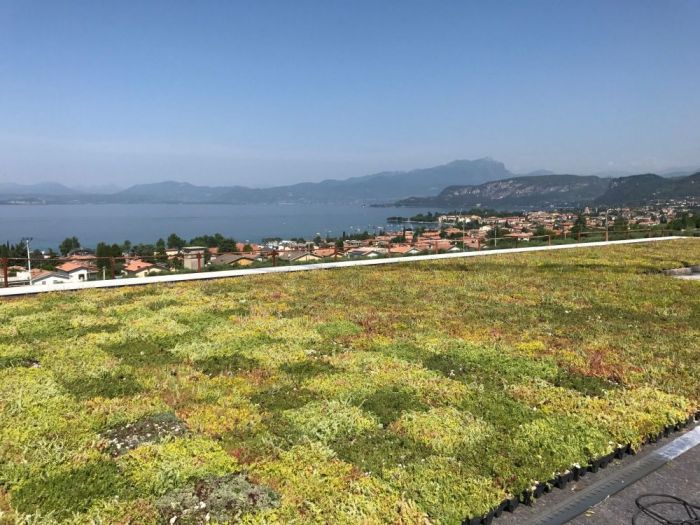 Archisio - Protego srl - Progetto Villa panoramica con tetto in soluzione giardino a basso spessore