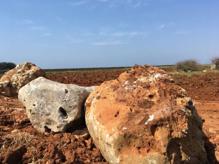 Archisio - Gabriele Fanuli - Progetto Piscina vista mare in salento
