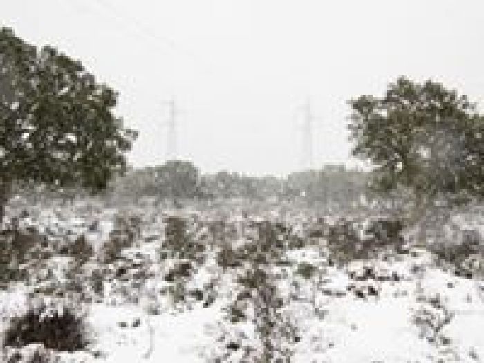 Archisio - Alessandro Corongiu Fotografia - Progetto Giara sotto la neve