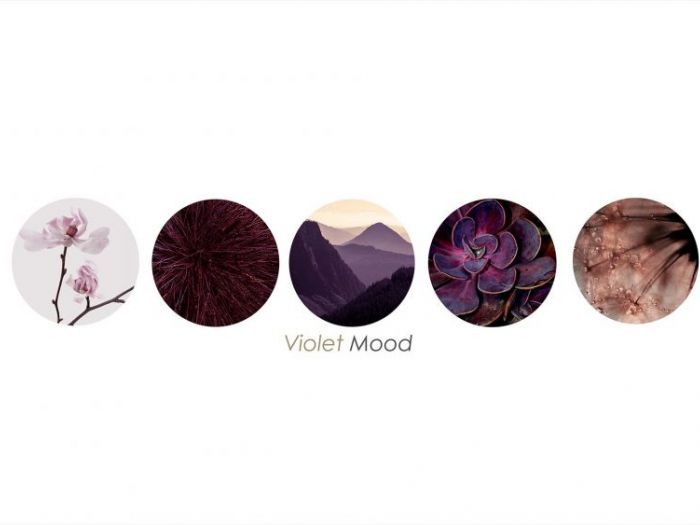 Archisio - Studio Associato Kwg - Progetto Appartamenti leone