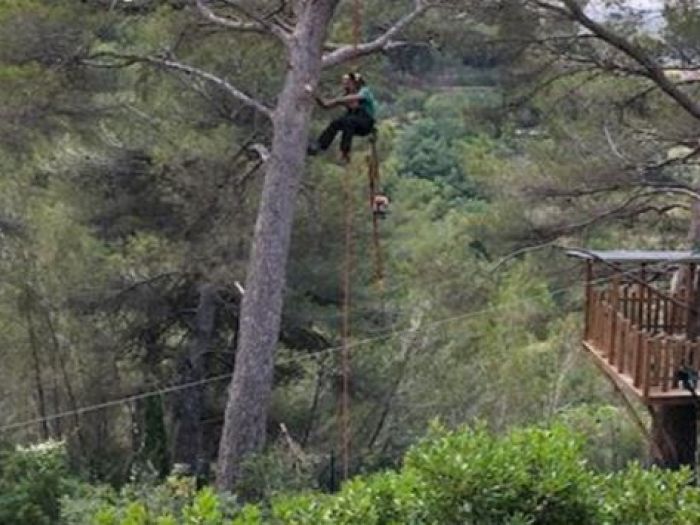Archisio - Casalberi - Progetto Il nido del falco