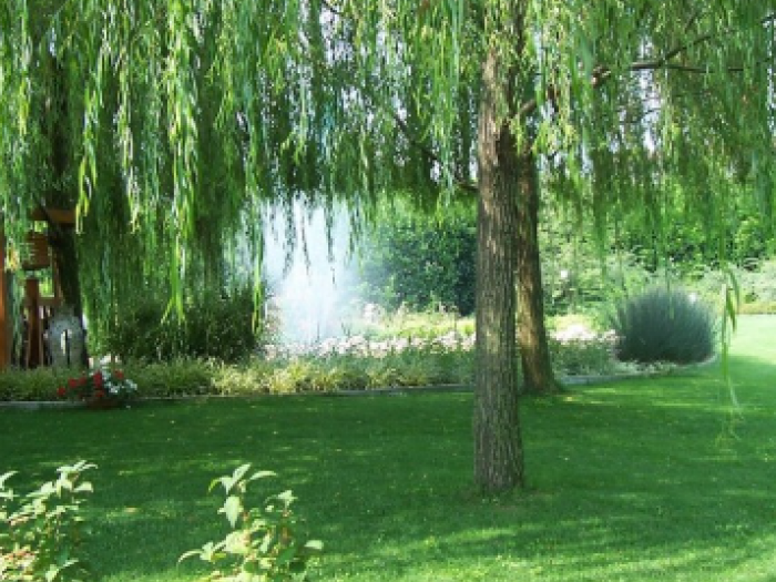 Archisio - Areaverde Consulting - Progetto Giardino verde privato