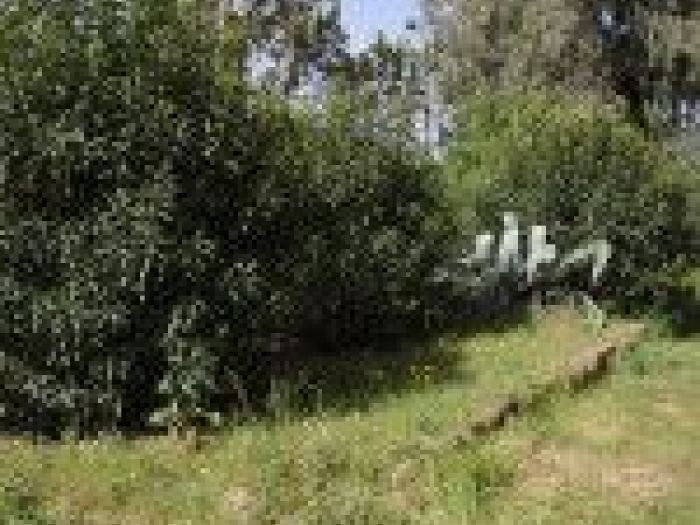 Archisio - Mageris srl - Progetto Pulizie giardini via casilina