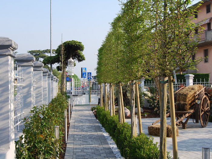 Archisio - Lugo Architettura Del Paesaggio - Progetto Hotel-ristoranti-alla passeggiata