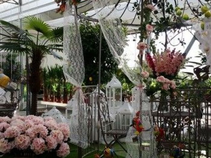 Archisio - Piante Macri - Progetto Il garden