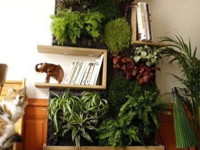 Archisio - Dotto Francesco Consulting Green - Progetto Verde verticale interno casa