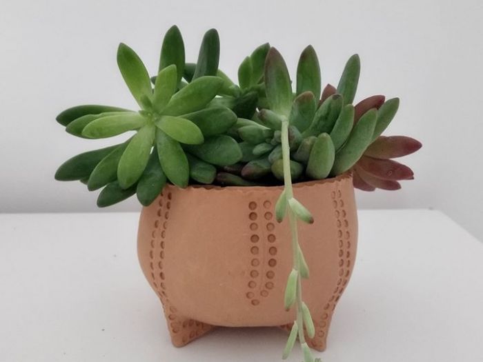 Archisio - Frisart - Progetto Vasi