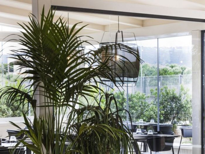 Archisio - Design Project - Progetto Il tronco -pizzeria-