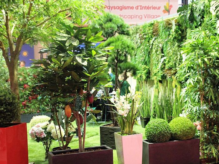 Archisio - Luca Righetto - Progetto Francia 2017