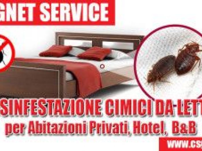 Archisio - Csgbnet Service Srls - Progetto Disifestazioni