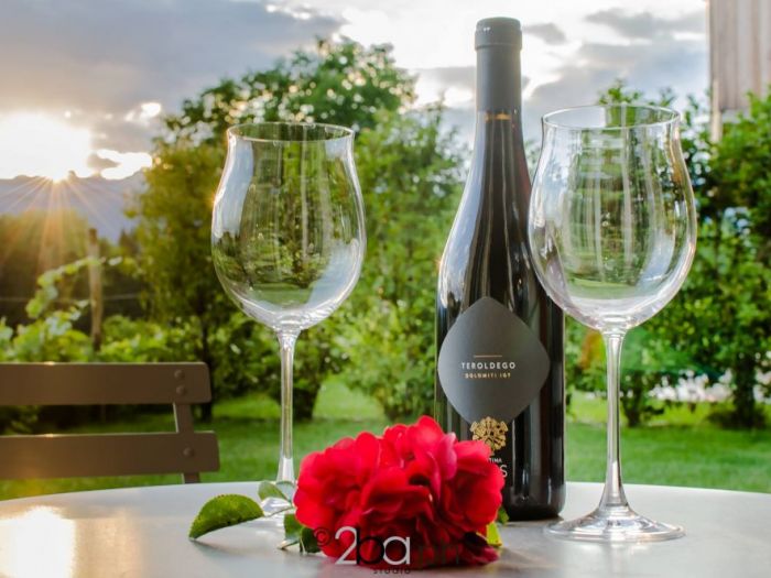 Archisio - 2ba Studio - Progetto Fotoracconto bb lupo