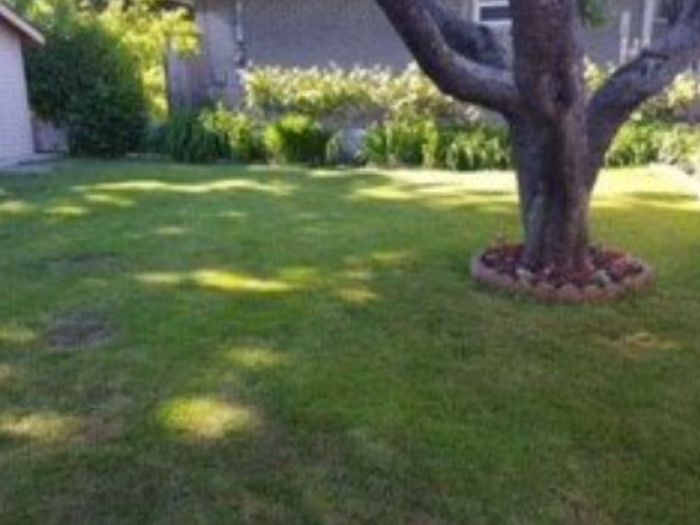 Archisio - Laandcr Giardinaggio - Progetto Derattizzazione