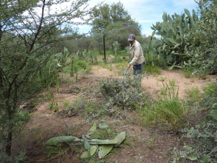 Archisio - Elisabetta Fermani - Progetto Un frutteto in permacultura