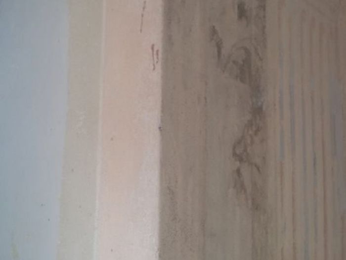 Archisio - Luni Progres - Progetto Villa capitani - sarzanello